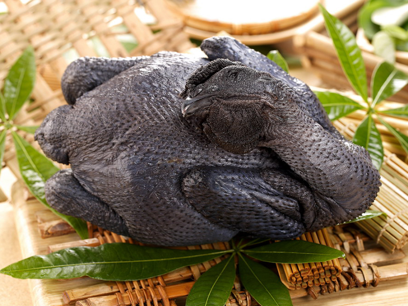 烏骨雞Silkie Chicken